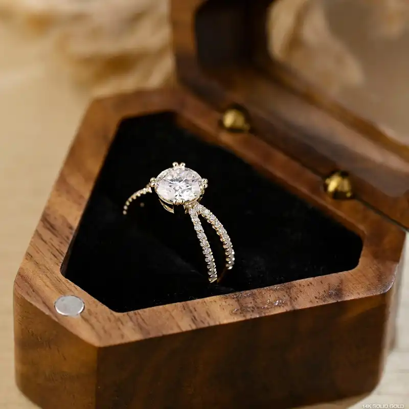 /public/photos/live/26 (5).webp